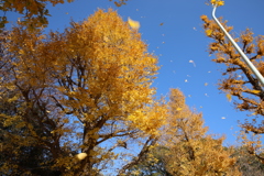 吹き飛ばされる