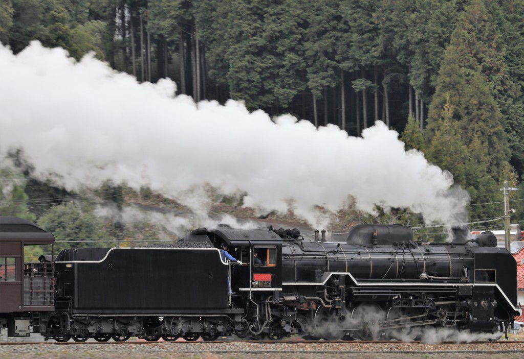 D51200