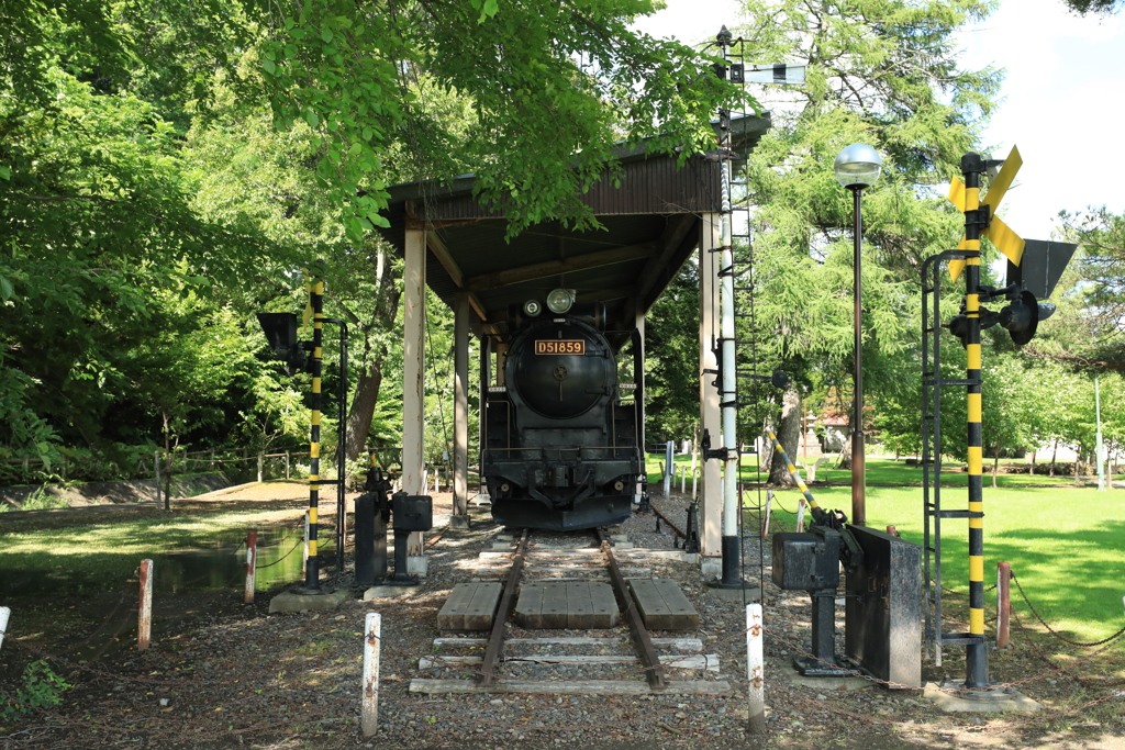 D51