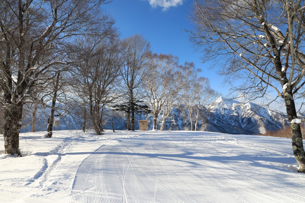 戸隠スキ－場中腹