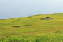 草原