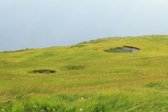 草原