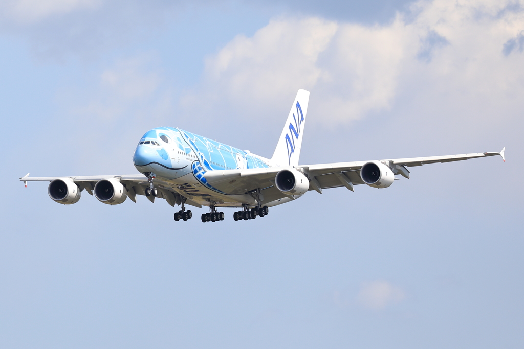 ANA