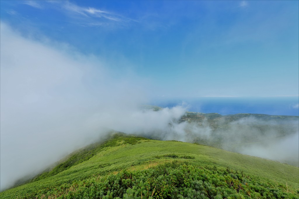 天気予報から大幅に遅れて晴れてきましたが