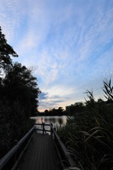 石神井公園