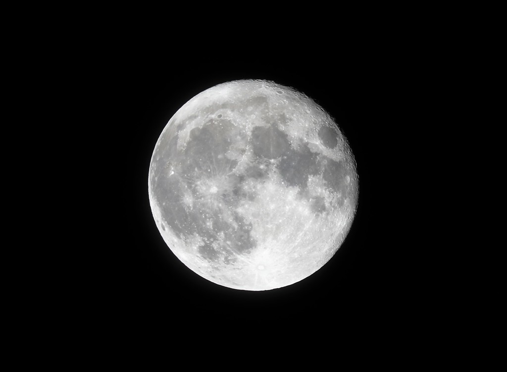 ス－パ－ム－ンから一日たってから。