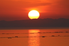 2016_05_02EOS 7D Mark II1002009999_46