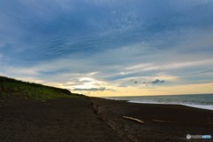 引き返してきて浜辺へ