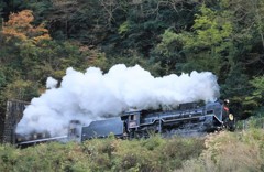 今日はこれで最後