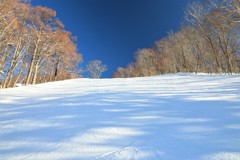 戸隠スキ－場　シルバ－コ－ス上部