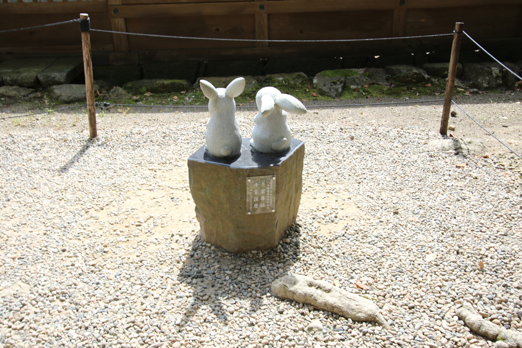 2015_09_23EOS 7D Mark II1001007168