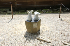 2015_09_23EOS 7D Mark II1001007168