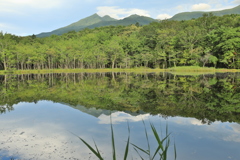 気が付けば晴れだしました