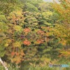 これからかな