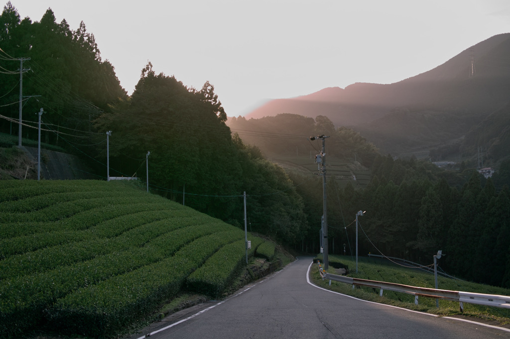 夕暮れの蔵田