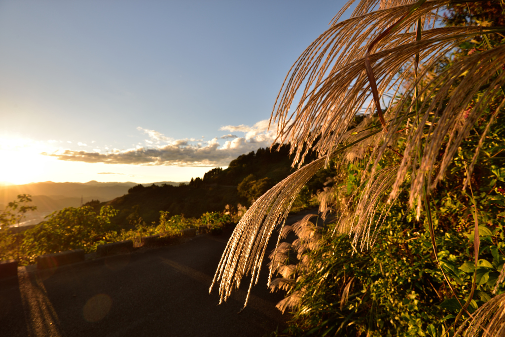 秋の夕景