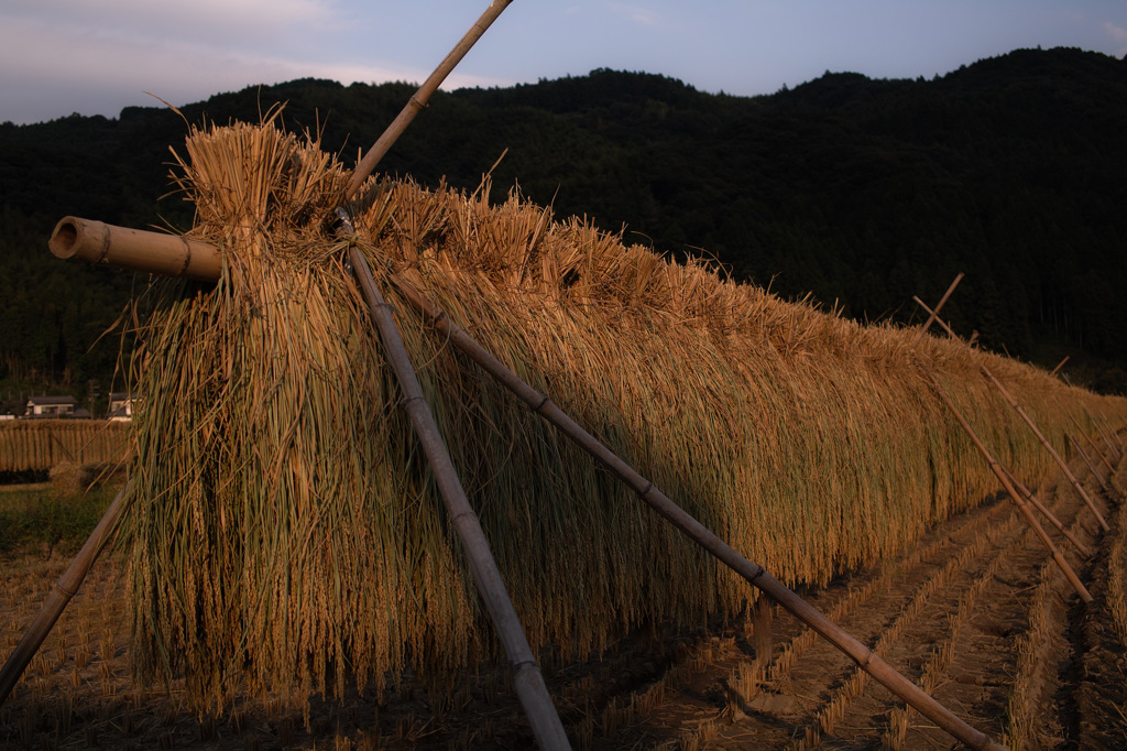 初秋の夕暮れ