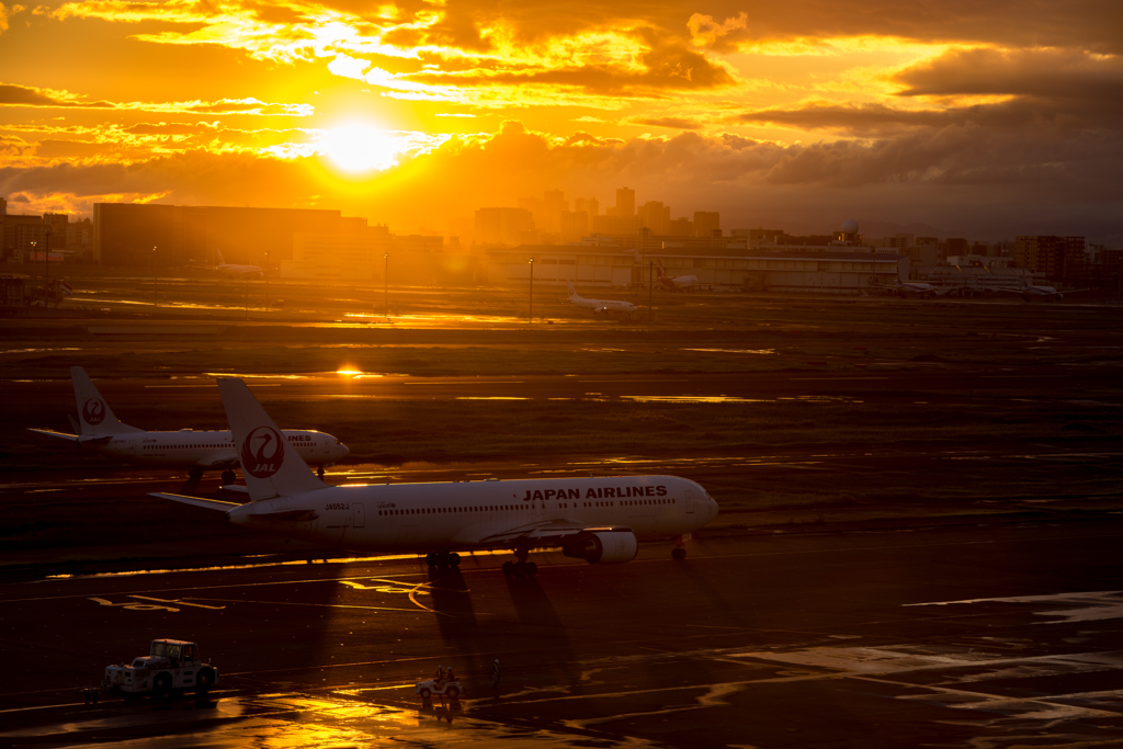 羽田空港　夕景