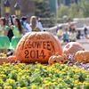 2014ハロウィーン