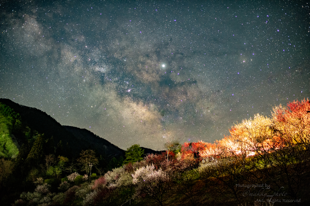 花桃+天の川