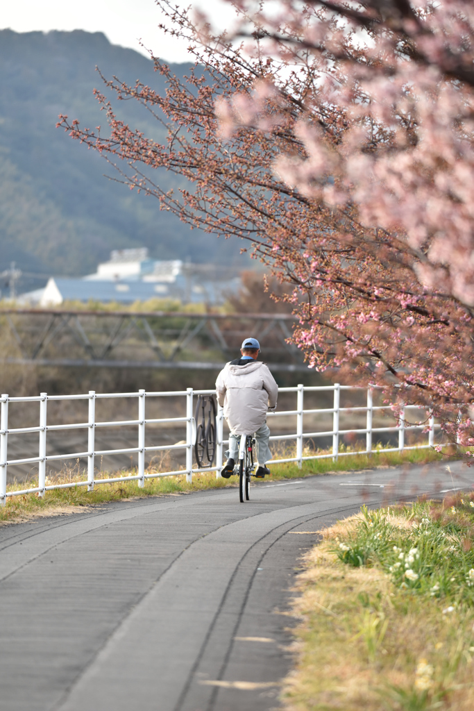 まだ早ぇなぁ