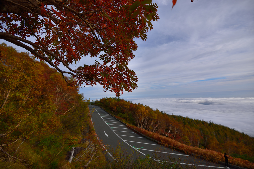 紅葉と雲海