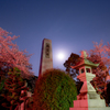 平和を願う