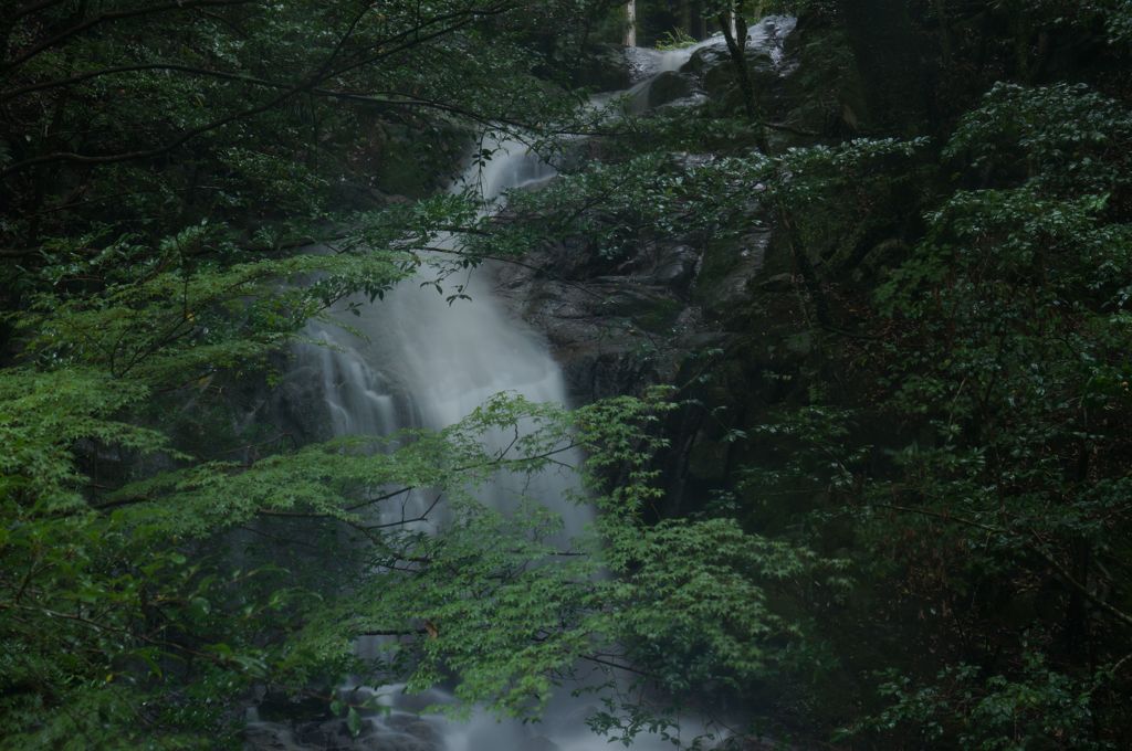 阪内不動滝⑤