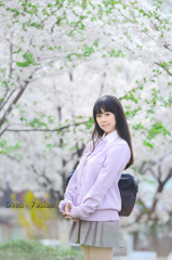 樱花少女
