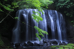 滝