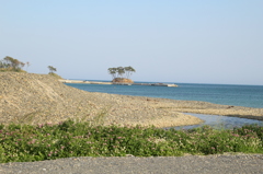 海岸