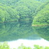 湖の反射