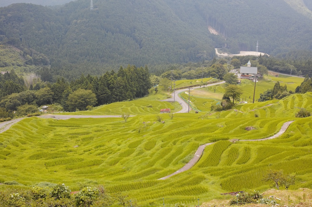 丸山千枚田　
