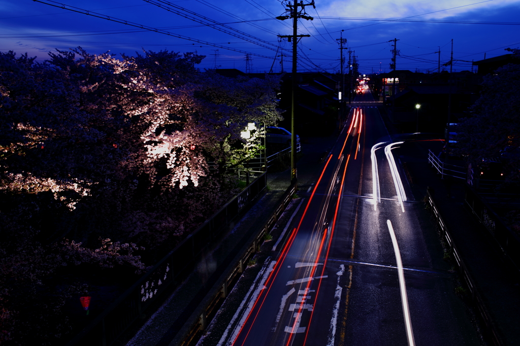 歩道橋より