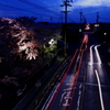 歩道橋より
