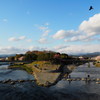 京都　鴨川デルタの桜