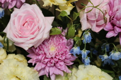 rose