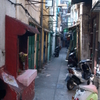 Macau Alley