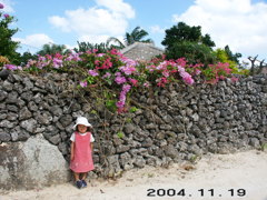 竹富島の石垣