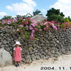 竹富島の石垣