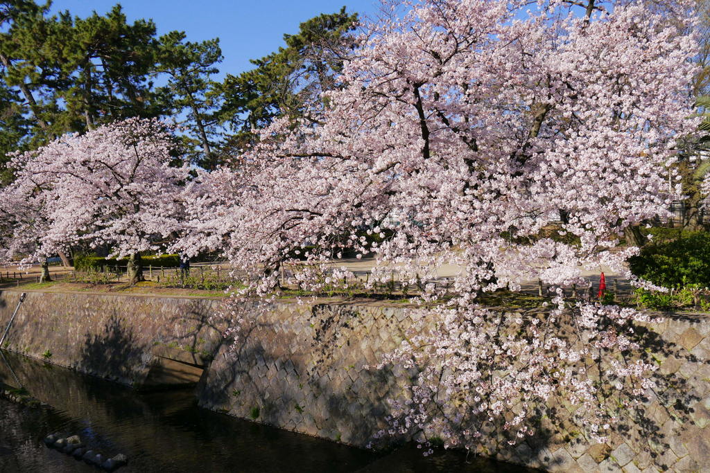 また来年まで。