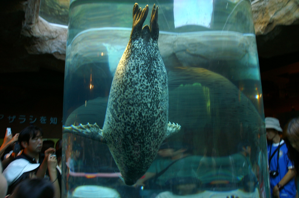 旭山動物園の定番　その2