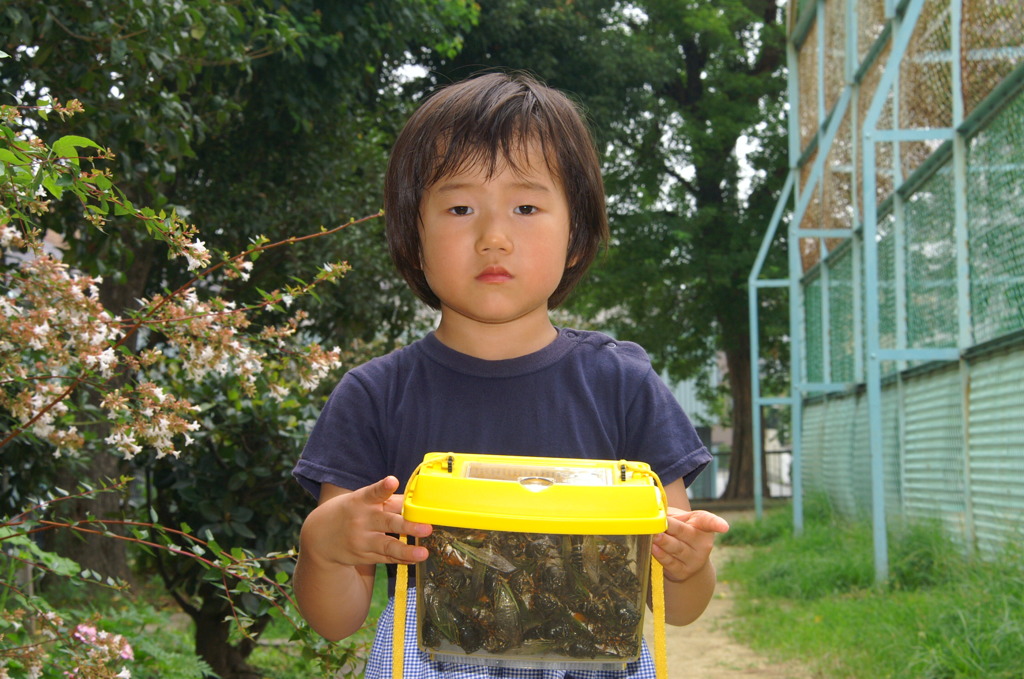 今日はこれくらいで勘弁しといたろか