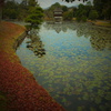 聚楽園