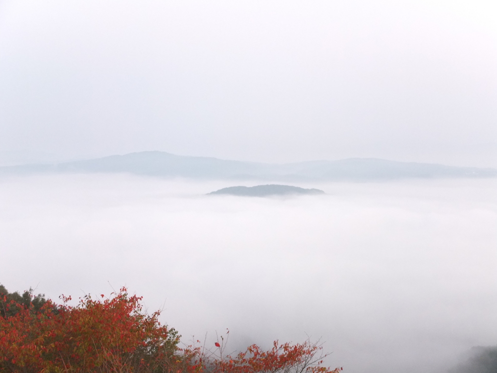 美作市の雲海