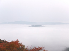 美作市の雲海