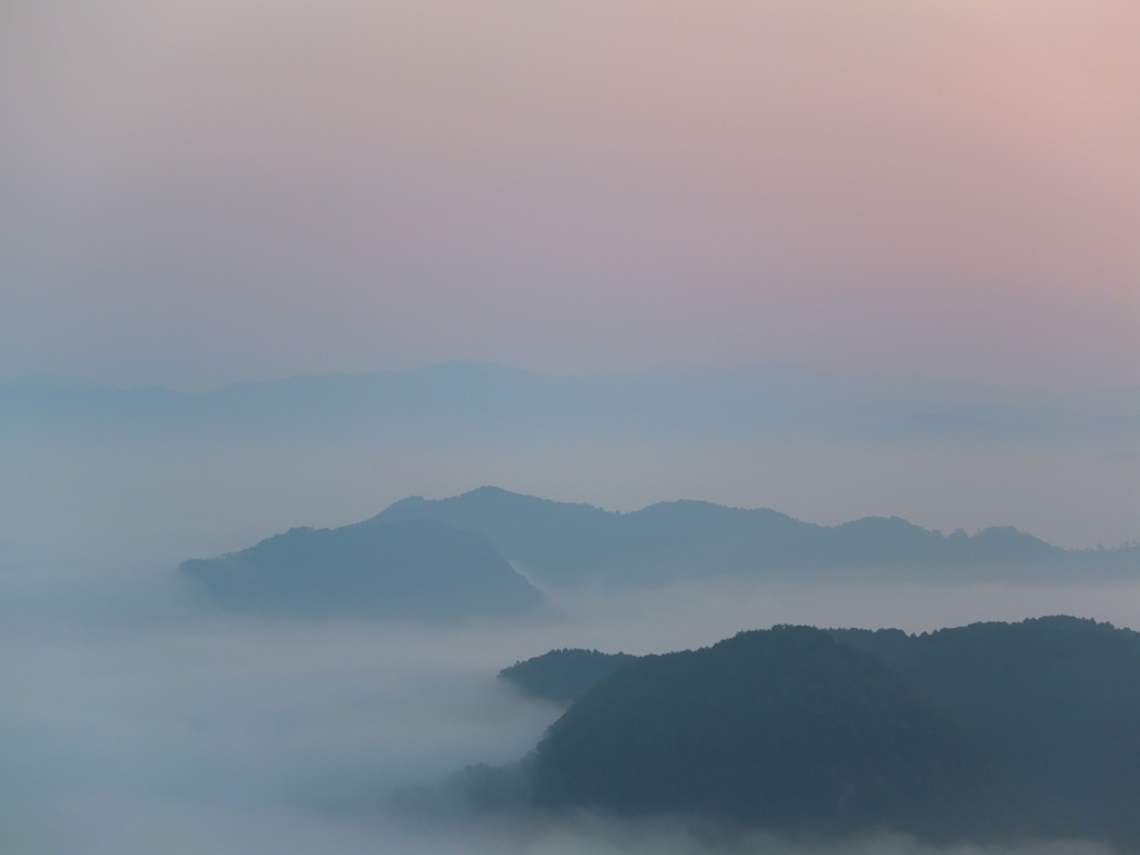 美作市の雲海