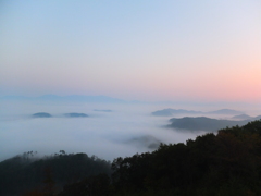 美作市の雲海