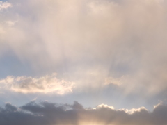 雲