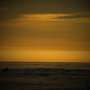 DSCF4650